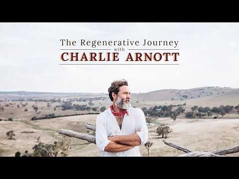 Episode 34 | Peter Andrews | The Godfather of Landscape Rehydration & Natural Sequence Farming