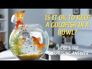 Why can't Goldfish Live in a Bowl? Can Goldfish Live in a Bowl? Here's the Surprising Answer