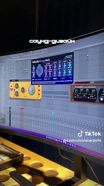 #fyp #студиязвукозаписи #музыкант #studiorecording #viralvideo #сведение