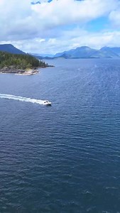 The panga is a hull with 60 years of sea trials on its record. Originally designed in Japan, tens of thousands of pangas are on the water worldwide. Our confidence in the capability of the hull comes not only from our own experience, but the expertise of mariners who truly count on their boat every day. The panga is adaptable—just as comfortable with a tiller as it is with a small house or console. It’s ready to work on a Monday, and explore the West Coast on the weekend. It’s a boat that will l