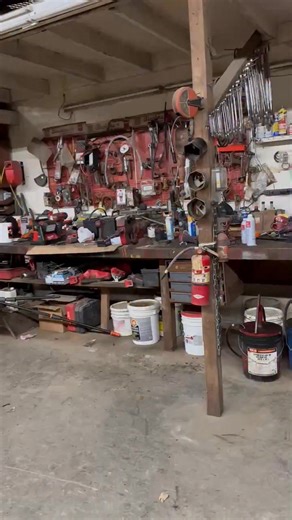 My Iowa bucks all back together | Rick Labbe