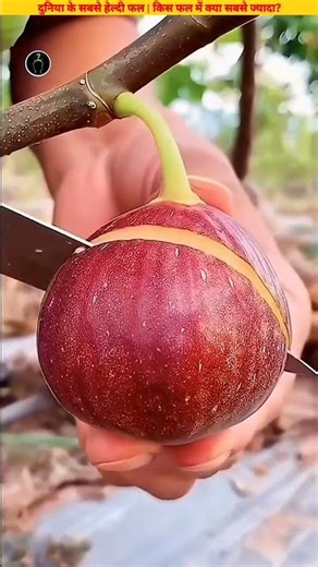 The World's Healthiest Fruits | Which Fruit Has the Most of What?