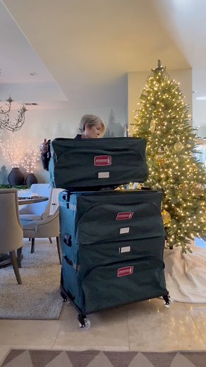 25K views · 179 reactions | https://urlgeni.us/amzn/Stacklockpic Finally, a Christmas storage system that works for you! This stack and lock storage system allows you to customize your storage. Build your collection one storage box at a time. 4 different style boxes to choose from so you can fit EVERYTHING!!Each box stacks and locks together and rolls on this ultra sturdy base with locking caster wheels for the ultimate in Christmas organization! | The Design Twins | Facebook