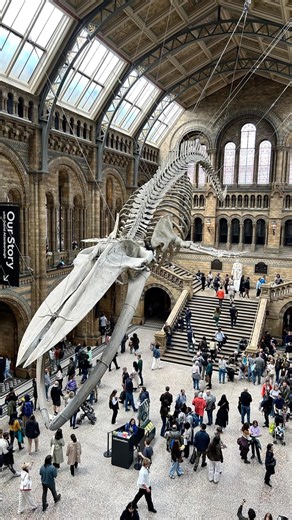 Natural History Museum, London City Sightseeing, Sky Garden 360° view, London Nightlife, Countryside