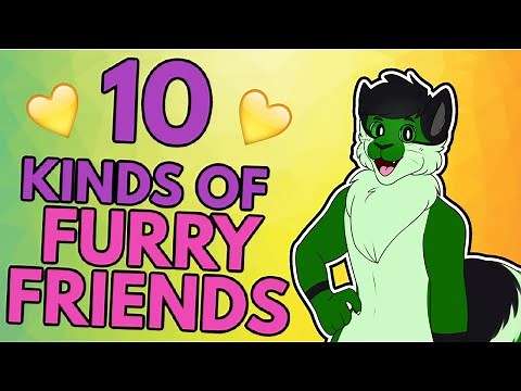 The 10 Kinds of Furry Friends You'll Meet!