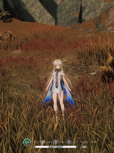 Global Filter Settings for Wuthering Waves Explained