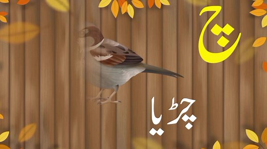 Urdu Alphabets: Learn with Animation & Rhymes