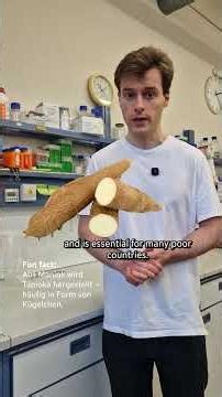 Fighting world hunger with cassava [FAU Science]