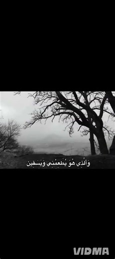اجـر🌟⊹˚. #قرآن #عبد_الباسط_عبد_الصمد