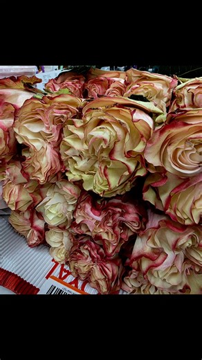 All Occasions Flowers & Gifts on Reels