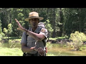 Easy Yosemite Valley Day Hikes