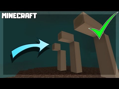 MINECRAFT| How to Find Bone Blocks! 1.16.1