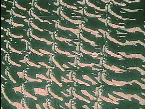 Documentaire | Les tigres volants