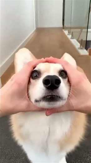 The secret twist nobody expected