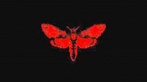 WOWZERS Lyrics - LIL' WAYNE | eLyrics.net