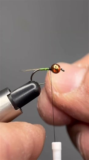 The 2-Minute Perdigón: Perfect Efficiency