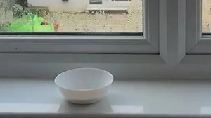 I'm a cleaning whizz and swear by a 65p hack to get rid of condensation