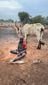 The Mundari people of South Sudan live closely connected to their cattle, and boys assume vital responsibilities in the camp from a very young age. A Mundari boy typically covers his body with a mixture of fine ash and burnt dung from the fires kept burning all night near the herd. This ash serves several essential functions: it protects the skin from mosquitoes, prevents severe sunburn, and acts as a natural hygienic layer that reduces infections. Furthermore, the ash helps keep parasites away 