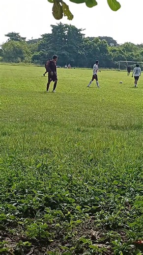 Avelin Ortiz on Reels