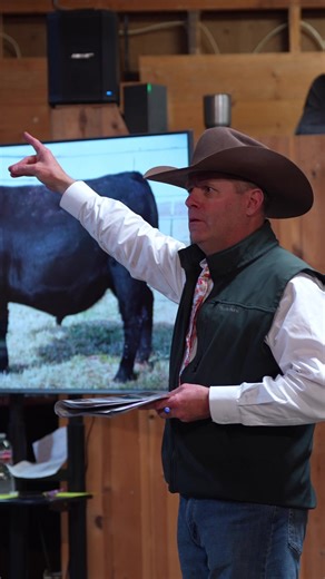 Reminiscing on sale day