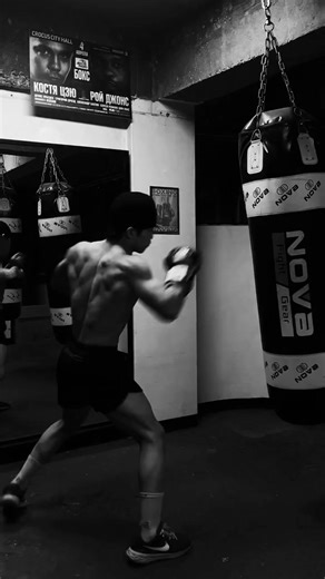 Boxer Showdown: USA vs. Ireland vs. Mexico