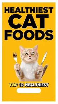 HEALTHY CAT FOODS 🐈‍⬛ Top Healthiest Natural Meals & Best Ingredients for Indoor Cats & Kittens 2025