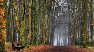 CRESCENT NOON Lyrics - CARPENTERS | eLyrics.net