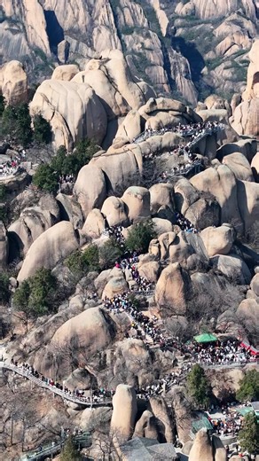 Exploring the Throngs at Chaya Mountain