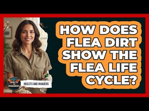 How Does Flea Dirt Show The Flea Life Cycle? - Insects and Invaders
