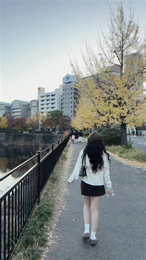 Khung Cảnh Lãng Mạn Mùa Thu Nhật Bản