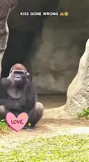 #animal #viral #viwes #game #art