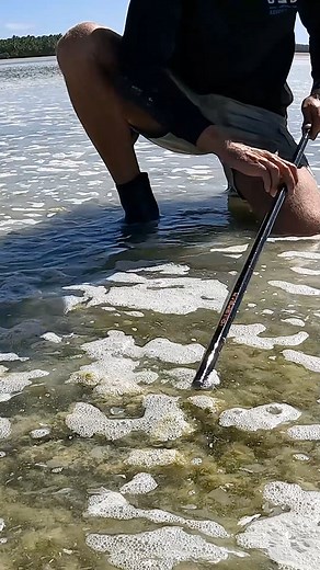 85K views · 1.5K reactions | GIANT MUDCRAB! Watch your step around these remote islands Watch the full Episode as Strick goes in search of a World Record on our Channel. | Back 2 Basics Adventures | Facebook