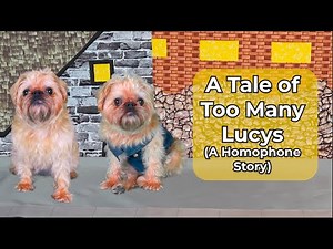 A Tale of Too Many Lucys: A Homophone Story About Too, Two, and To