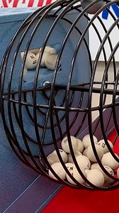 15K views · 108 reactions | Bingo Tabletop Game Restoration | Rescue & Restore | Facebook