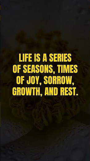 Ecclesiastes 3:1 - "For everything there is a season, and a time for every matter under heaven. "