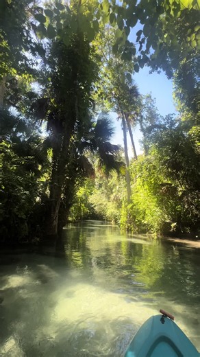 Summer river adventures > #fypツ #riverlife #nature #summer #summervibes #adventure #explore #fyppppppppppppppppppppppp #florida #floridacheck