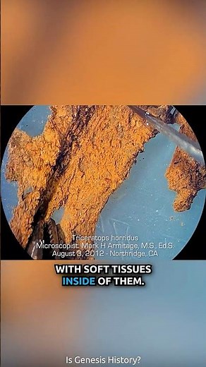 Dinosaur Fossils Confirm Biblical Truth