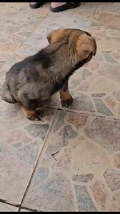 25 reactions | Yuva arıyor‼️ Takipçimizin iletisidir: Bu bebeği...