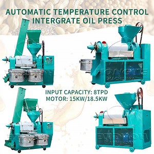 [Hot Item] Palm Kernel Oil Extraction Machine Cooled Cooking Oil Press Mango Seeds Oil Press Machine for Business