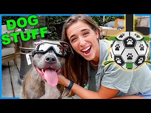 Testing Dog Products! Pt. 10ish