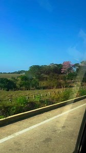 10K views · 379 reactions | #Oramos Muy buenos días es hora de darle gracias a Dios por un nuevo día y semana que Dios tome el control #DiosEsBueno #Amen | Notición.co | Facebook