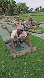 8.4M views · 65K reactions | Amazing Cricket Ground Grass Making Complete Process | Our Collection | Facebook