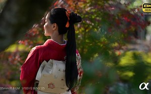 【索尼】【A1】索尼A1 8K视频样片_8K Sample Video _ Alpha 1 _ Sony _ α
