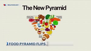 Food pyramid flips