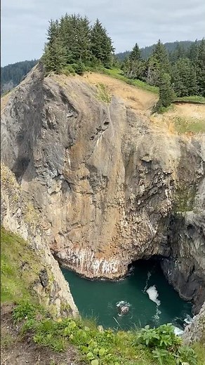 Oregon's HIDDEN Beach Treasure! (Oswald West State Park) #oregoncoast #hiking #shorts