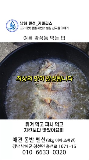 치킨보다 맛있다고? 감성돔을 튀겨버렸습니다! #shorts #남해펜션 #애견동반펜션 #감성돔구이