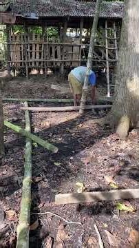 Make a tree house🤪🤪🤪🤪 #viral #bolang #adventure #fyp #treehouse