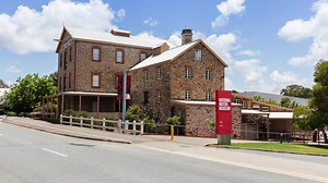 100K views · 3K reactions | BIG NEWS on MILO'S FUTURE! | Roothy | Facebook