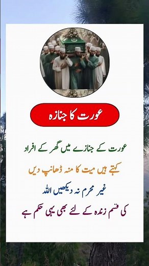 surah yasin rahman yaseen rehman online quran tilawat juma naat ishq #shorts #motivational #quotes