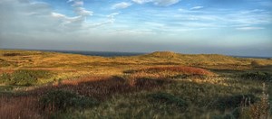 Plans REJECTED for new Scots course